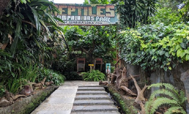 Taman Reptil Gembira Loka, Ayo Kenali Kehidupan Reptil Indonesia